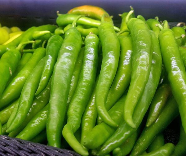 Capsicum annuum Dolce di Bergamo