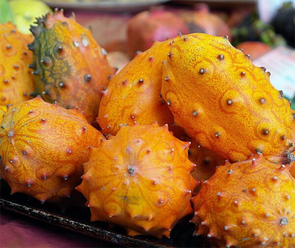 Cucumis metuliferus Kiwano 2