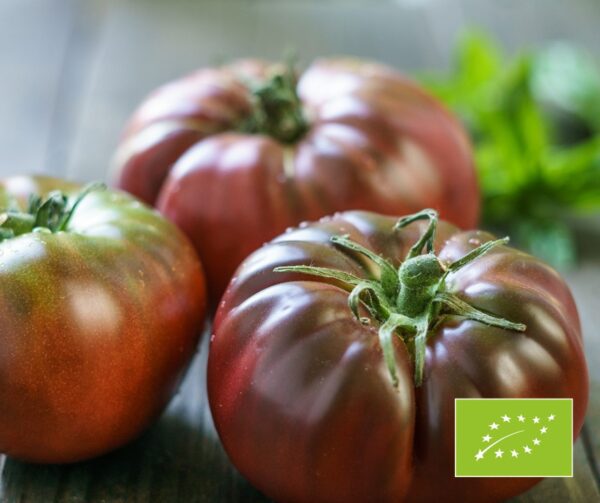 Tomato Black Krim BIO