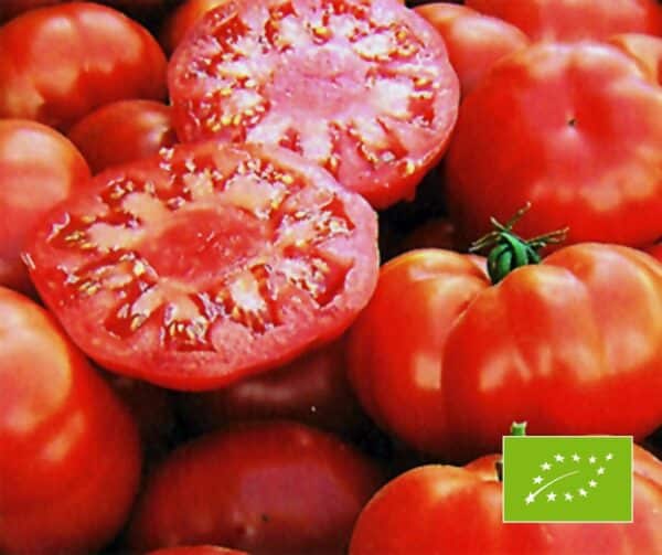 Tomato Marmande BIO