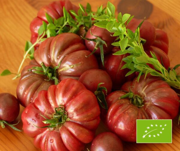 Tomato Purple Calabash BIO