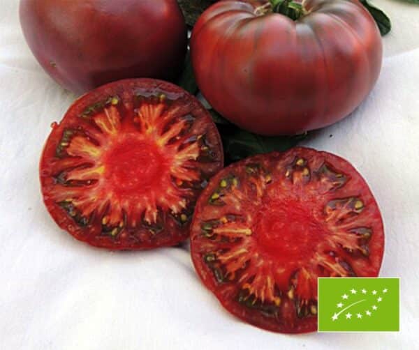 Tomato (Solanum lycopersicum) Tschernij Prinz BIO