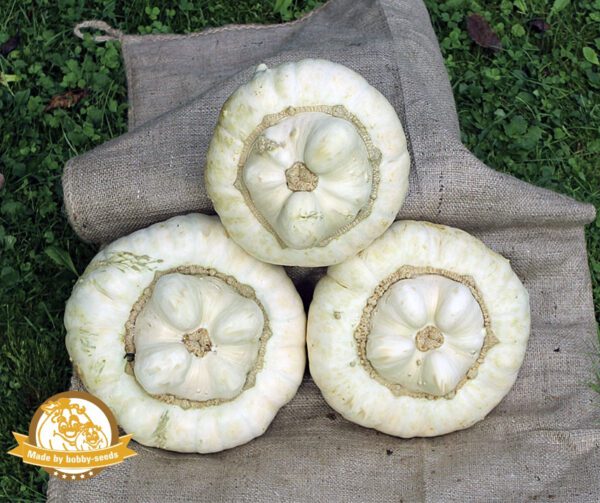 Cucurbita maxima White Turban