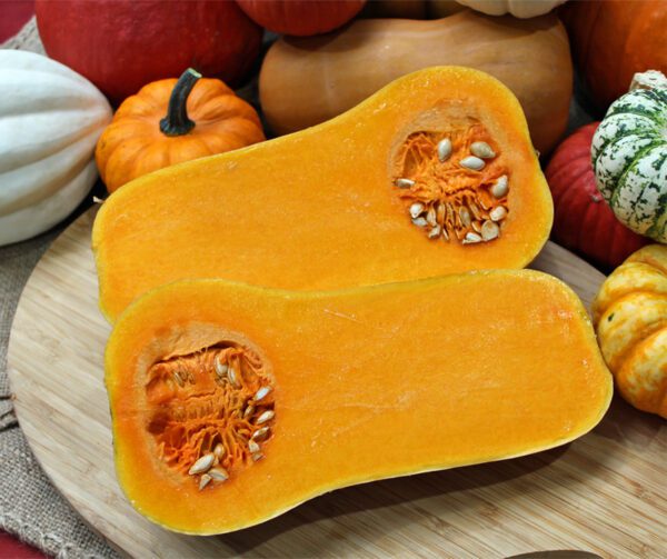 Cucurbita moschata Emilly F1 PMT