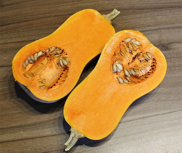 Cucurbita moschata Honeynut