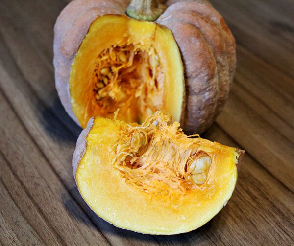 Cucurbita moschata Kogigu 2