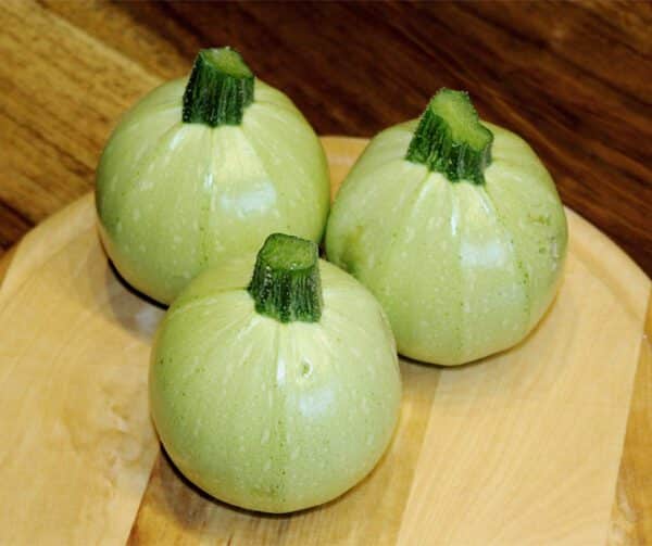 Cucurbita pepo Cue Ball F1 1