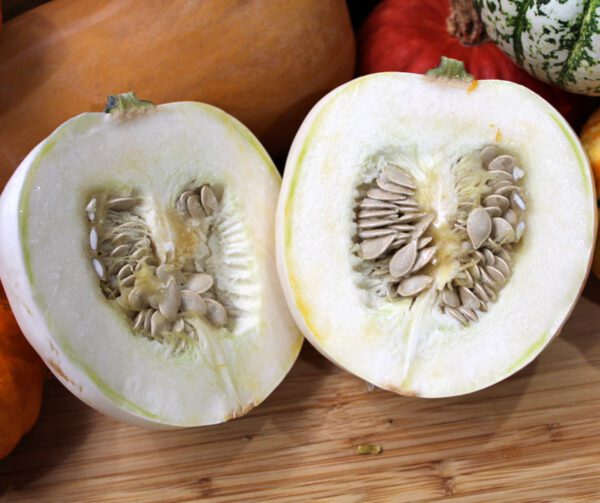 Cucurbita pepo White Pearl 1