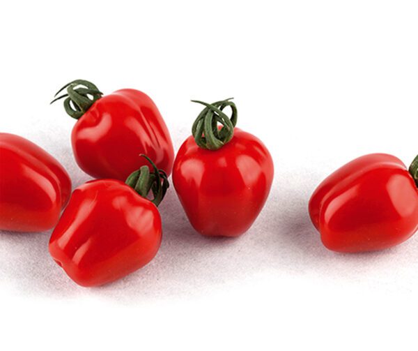 Tomato Appleberry Red PhR F1