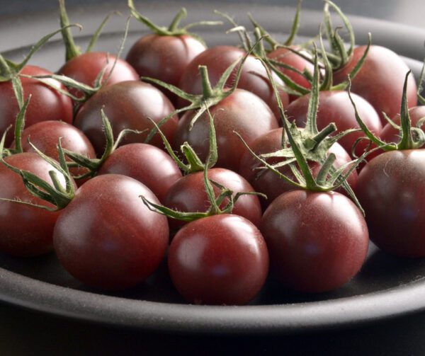 Tomato Black Cherry