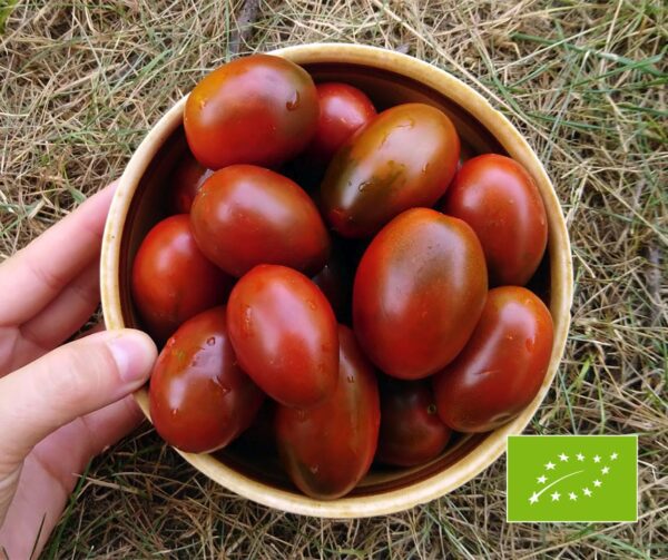 Tomato Black Plum BIO