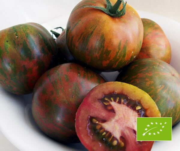 Tomato Black Zebra BIO