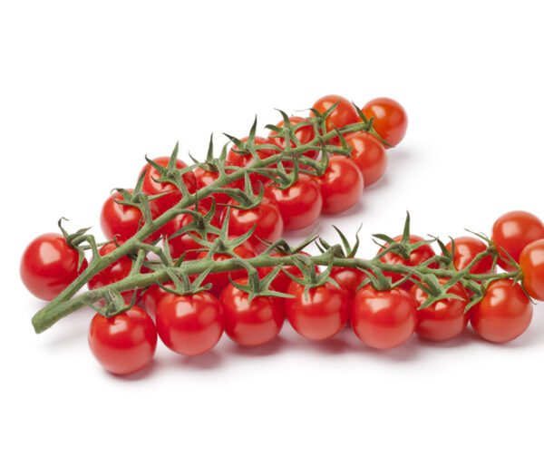 Tomato Gourmelito F1 1