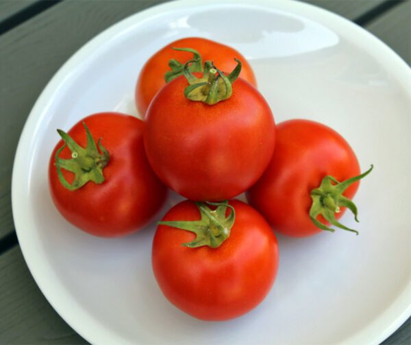 Tomato Marienka F1 1