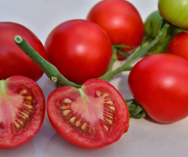 Tomato Matina 1