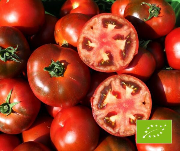 Tomato Rebella BIO