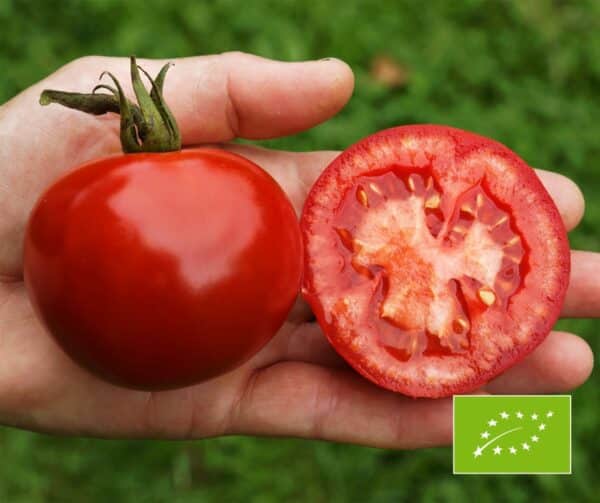 Tomato Rondobella PhR BIO