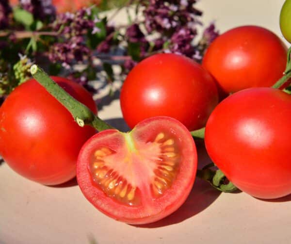 Tomato Tamina