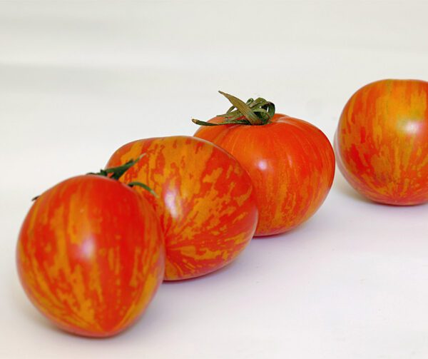 Tomato Tigerella