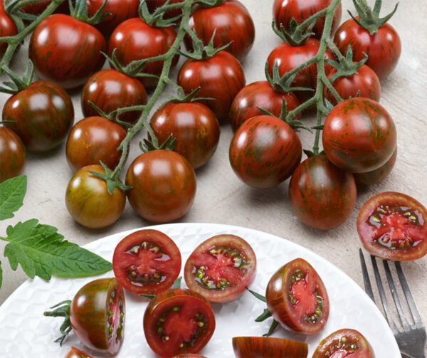 Tomato Tigrino