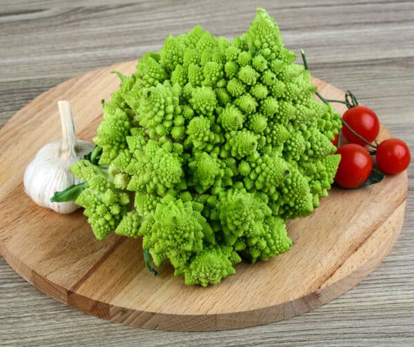 Brassica oleracea Romanesco Natalino