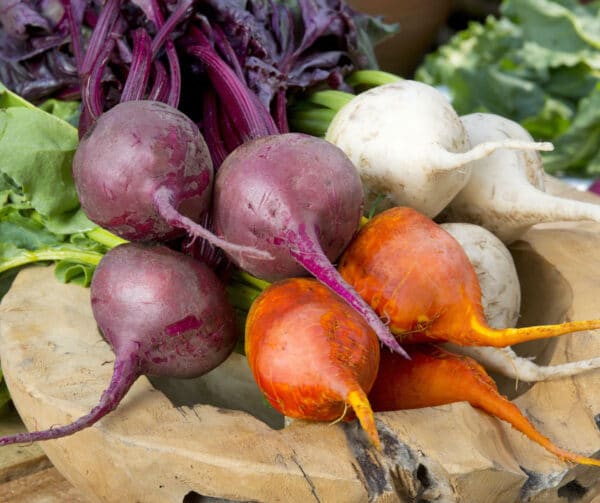 Beta vulgaris (Beetroot) Hula Hoop